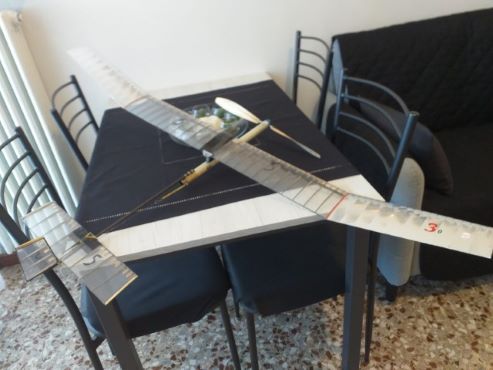 VOLO_LIBERO_1